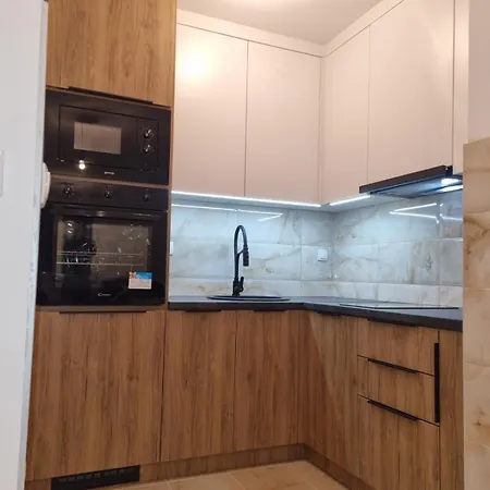 Centar G1 Apartman Pale